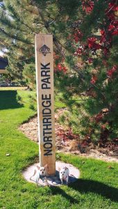 11988250_10153775333309665_1780289385935043155_n