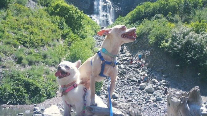 13330914_10154322964154665_2168761007521322122_n