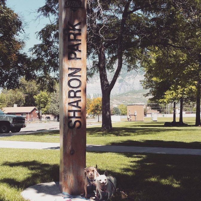 13495079_10154378860914665_4336361750780303089_n