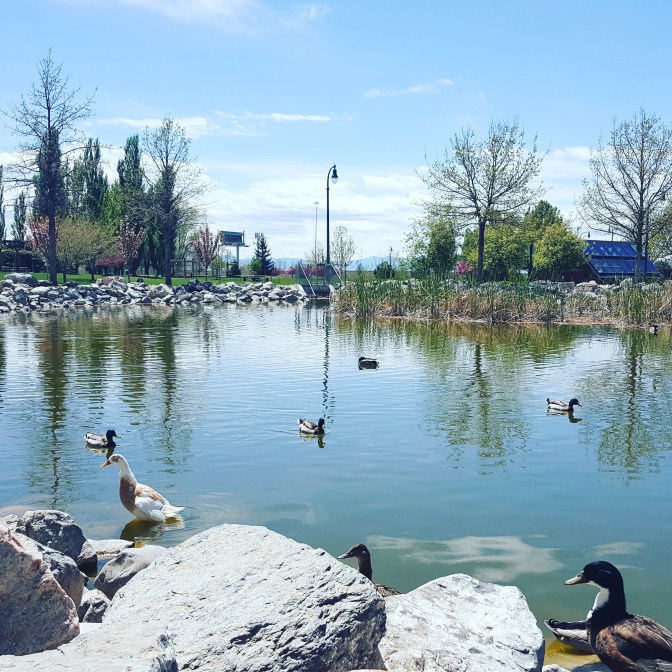 IMG_20170426_155925_537