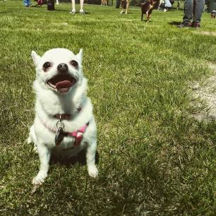 1609752_10155490394305627_8937753379240629724_n