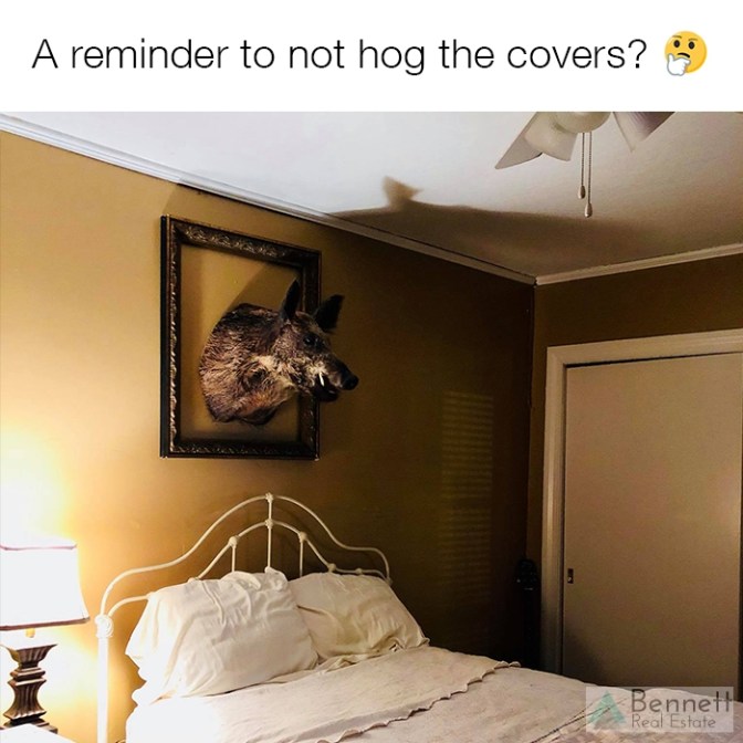 hog-covers-watermark
