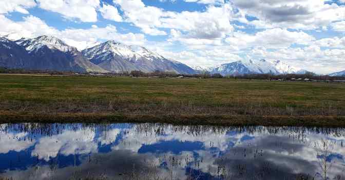 IMG_20190405_150641_617