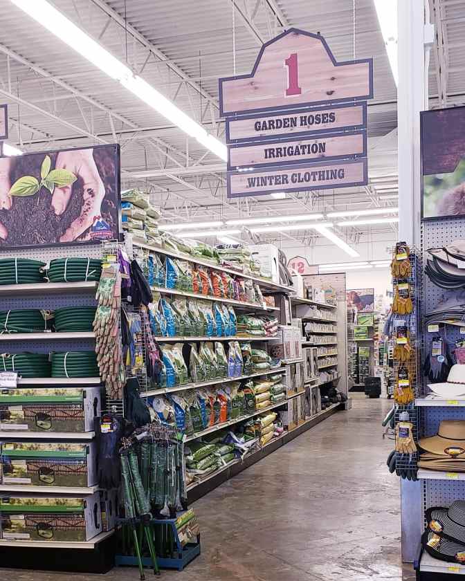 IMG_20190416_155513_988