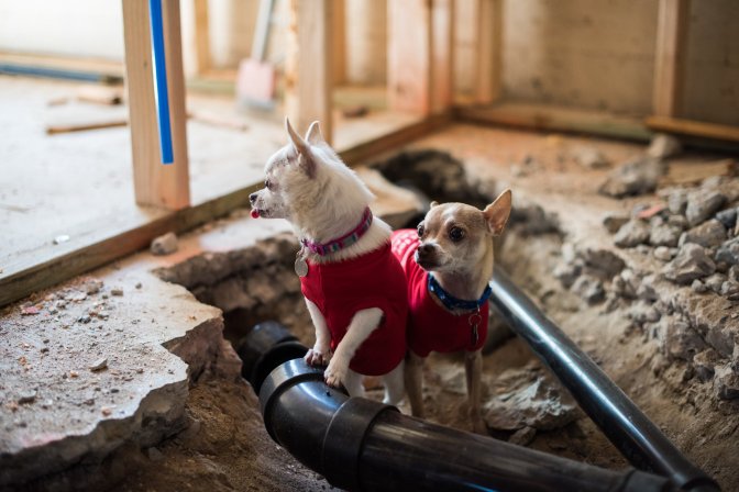 64603121_10161866330085627_3224281259626725376_o