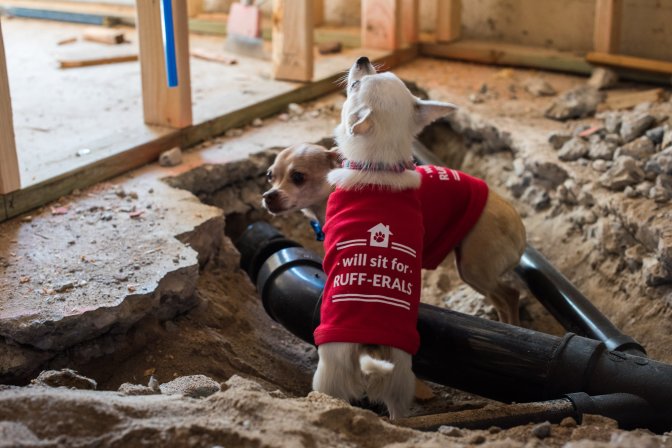 65319728_10161866330035627_2385510383357001728_o