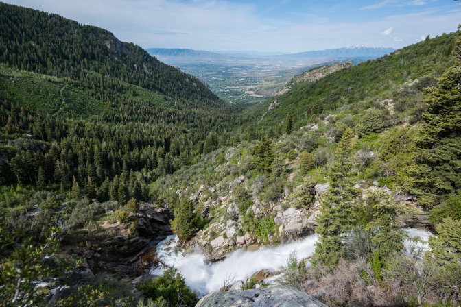 65036887_10157073830346226_6602878151578091520_o