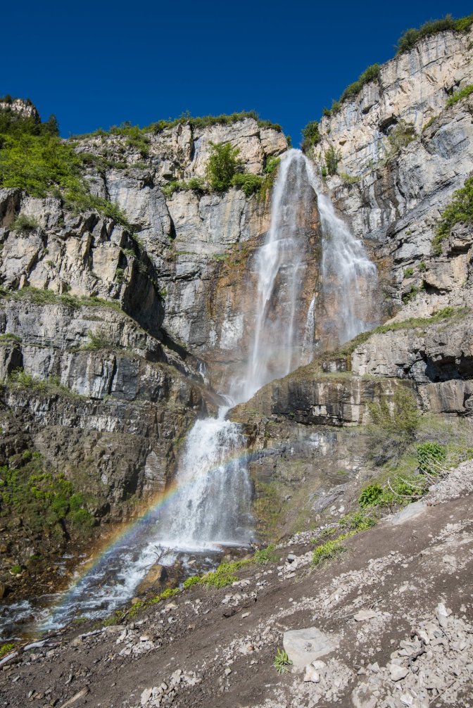 65238291_10157097068081226_7809594765812432896_o