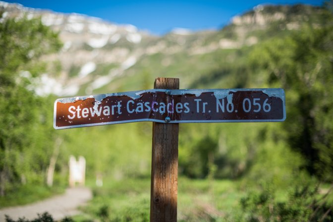 65610784_10157097067326226_7729401477218697216_o