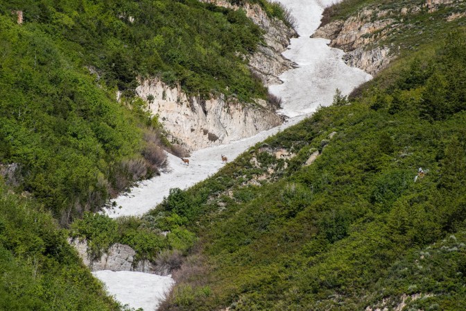 65634652_10157097067581226_684477629314629632_o