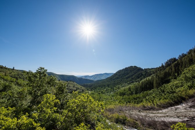 65637178_10157097068106226_4121351918893137920_o