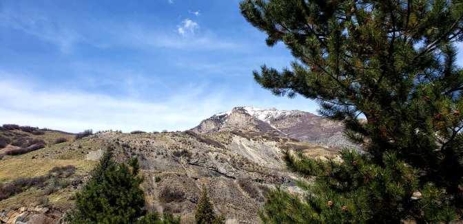 92434083_10158684560999665_6847926978075426816_o