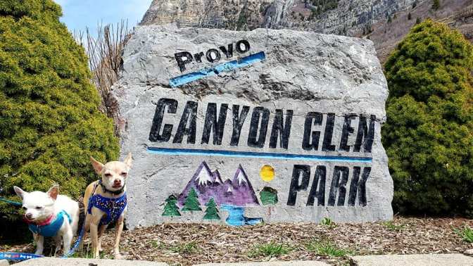 92581794_10158684560564665_9181156987985985536_n