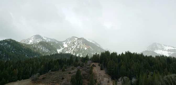 92708375_10158714369544665_7141018153399615488_o