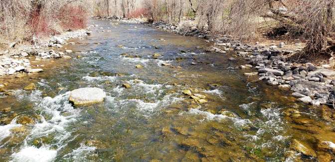 92939050_10158684560814665_1417247316854702080_o