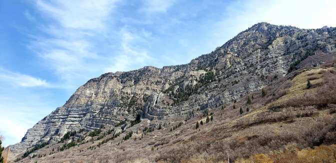 93237939_10158684560664665_7646984580976607232_o