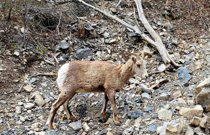 93308655_10158714369404665_8116804838668369920_n