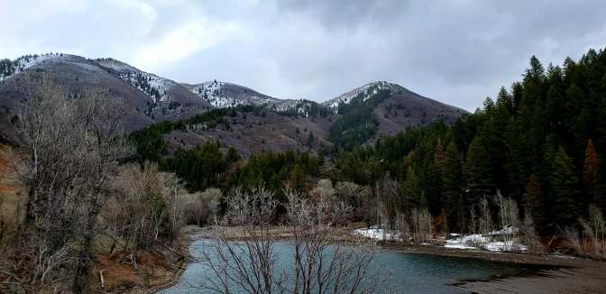 93398628_10158714370124665_5522718005760360448_o