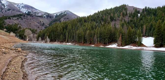 93594802_10158714369194665_5520414000619192320_o