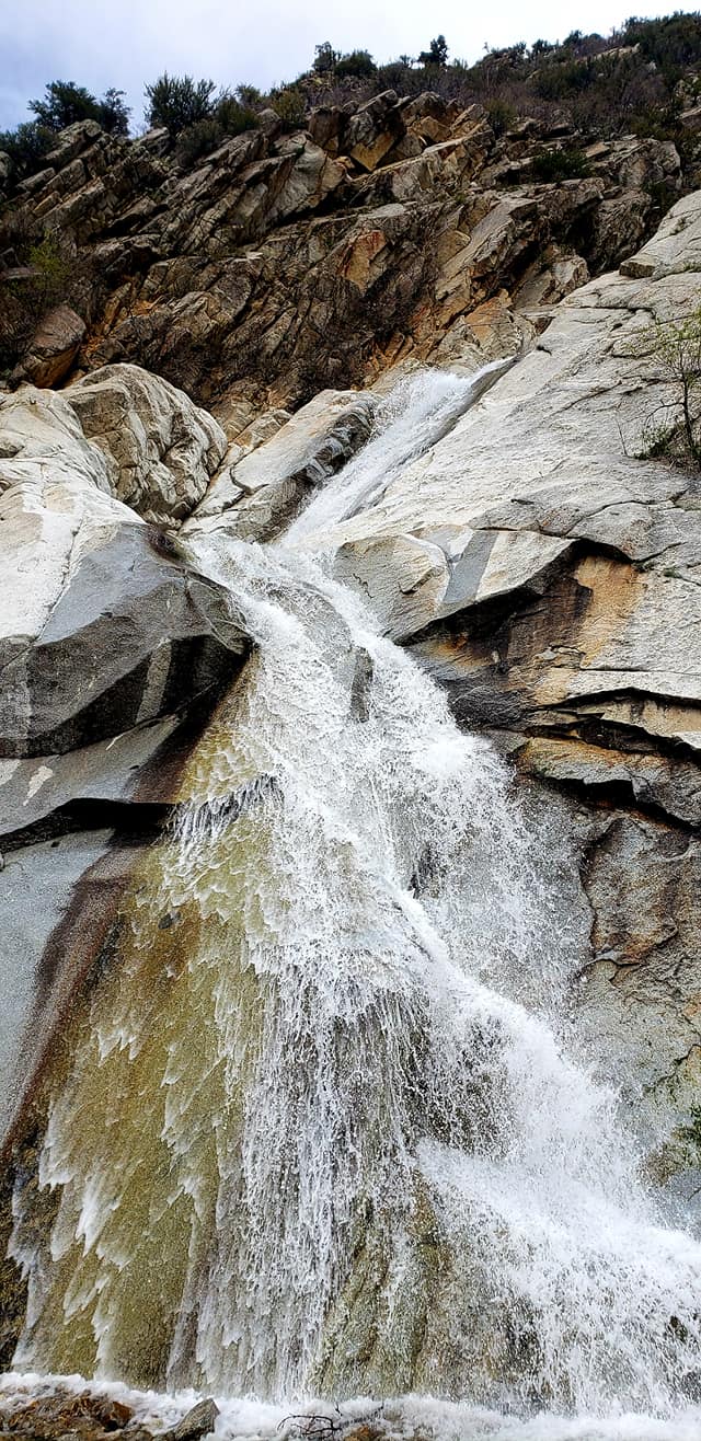 95894541_10158805775239665_6105483576780783616_o