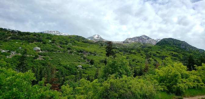 100679913_10158880964564665_7592454774243459072_o