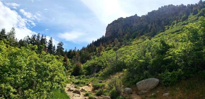 101627598_10158880964789665_4533943987928563712_o