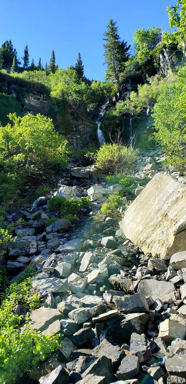 103283002_10158933364714665_6567105649669571189_o