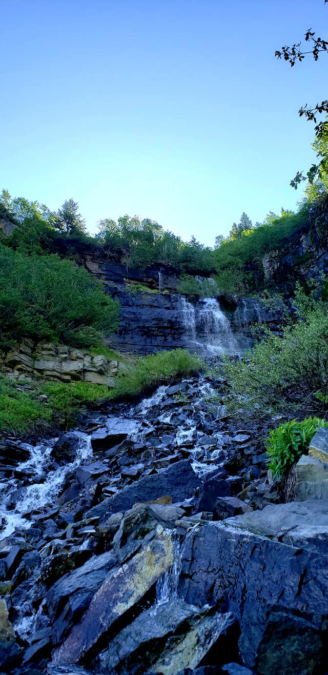 103447937_10158933363644665_5914114220053928873_o