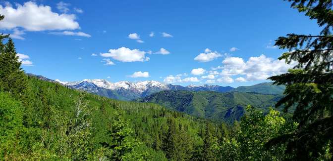 103863332_10158933364244665_7877898782219299319_o