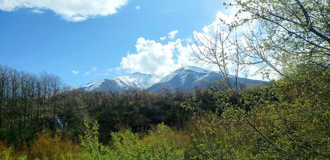 93846535_10158742503159665_3450952208827285504_o