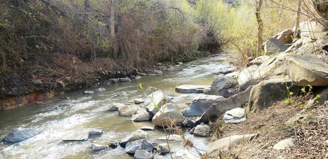 94473674_10158742503344665_401887099273347072_o