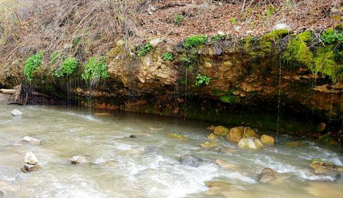 94528603_10158742503289665_4694043476617068544_n