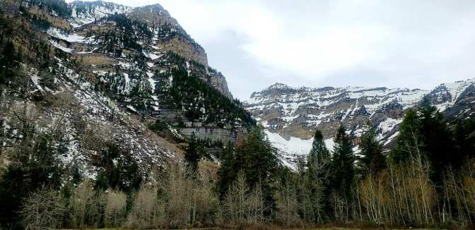 95451687_10158781258374665_4577526086232965120_o