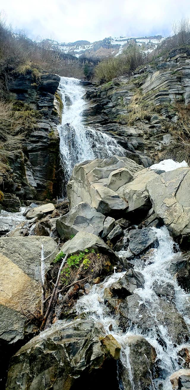 96079498_10158781259284665_913495567689056256_o