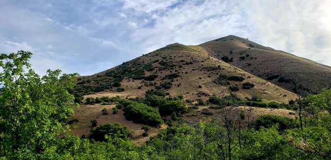 106472072_10158994590999665_6009396477468755243_o