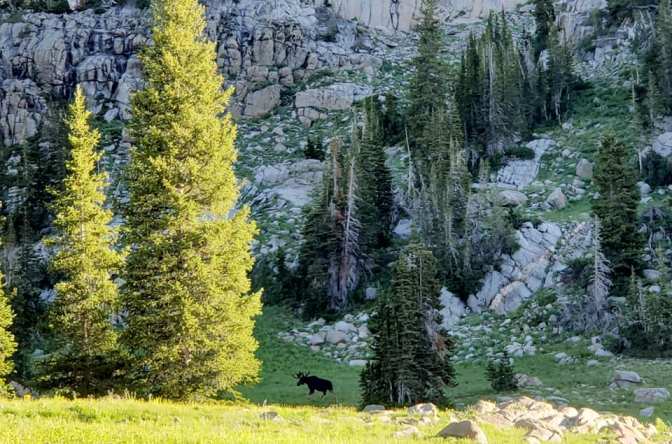 109244710_10159058649144665_3670959734910487504_n