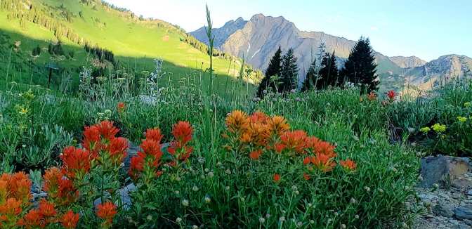 109290611_10159058646479665_5636231187325115474_o