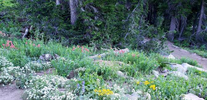 109300468_10159058650174665_6110491933569278647_o