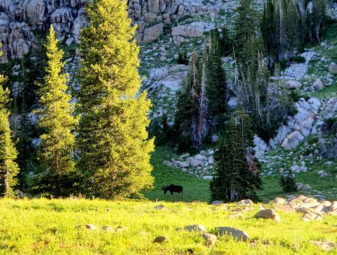 109424141_10159058649249665_3901586744144188634_n