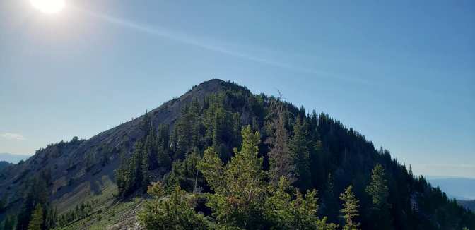 109519288_10159058650644665_7708058031619355165_o