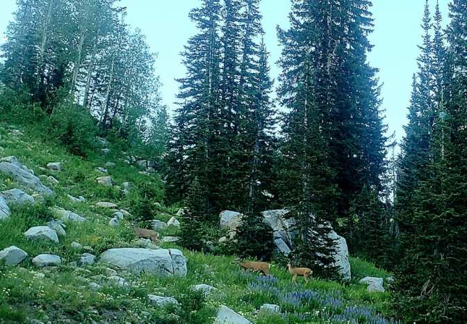 109777608_10159058646999665_8673929198199008905_n